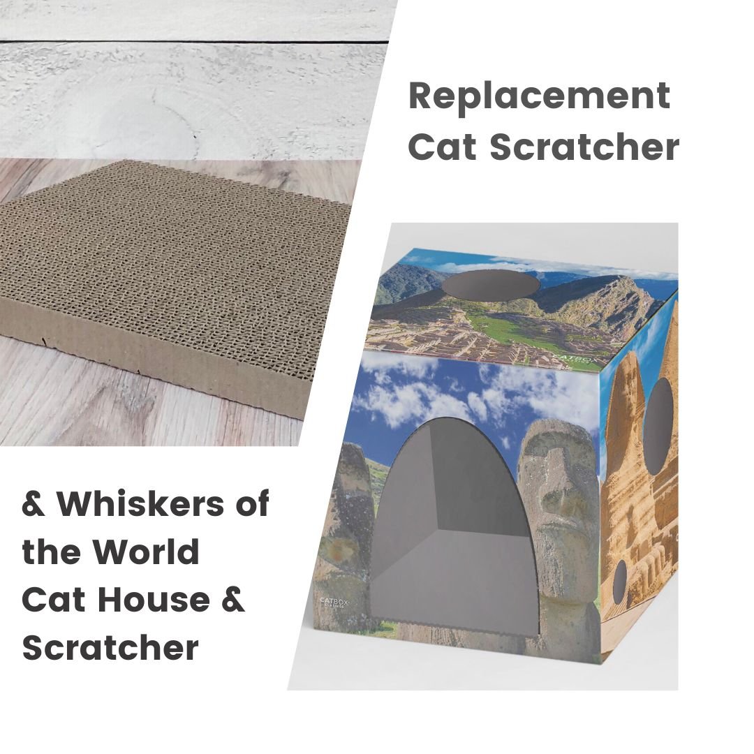Any Cardboard Cat House + Additional Scratcher - Cat Box Classics