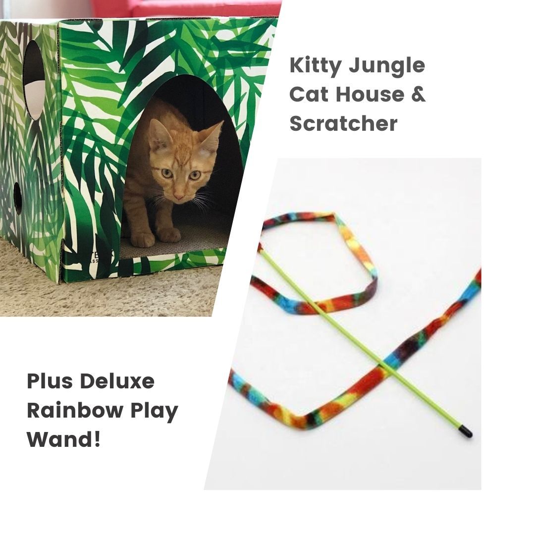 kitty jungle cardboard cat house and rainbow play wand