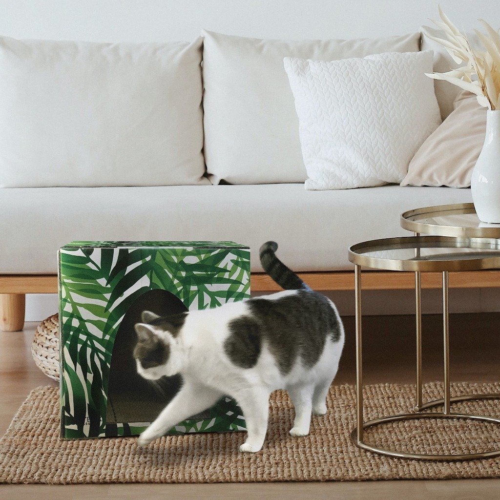 Kitty Jungle Cat House with Scratcher - Cat Box Classics
