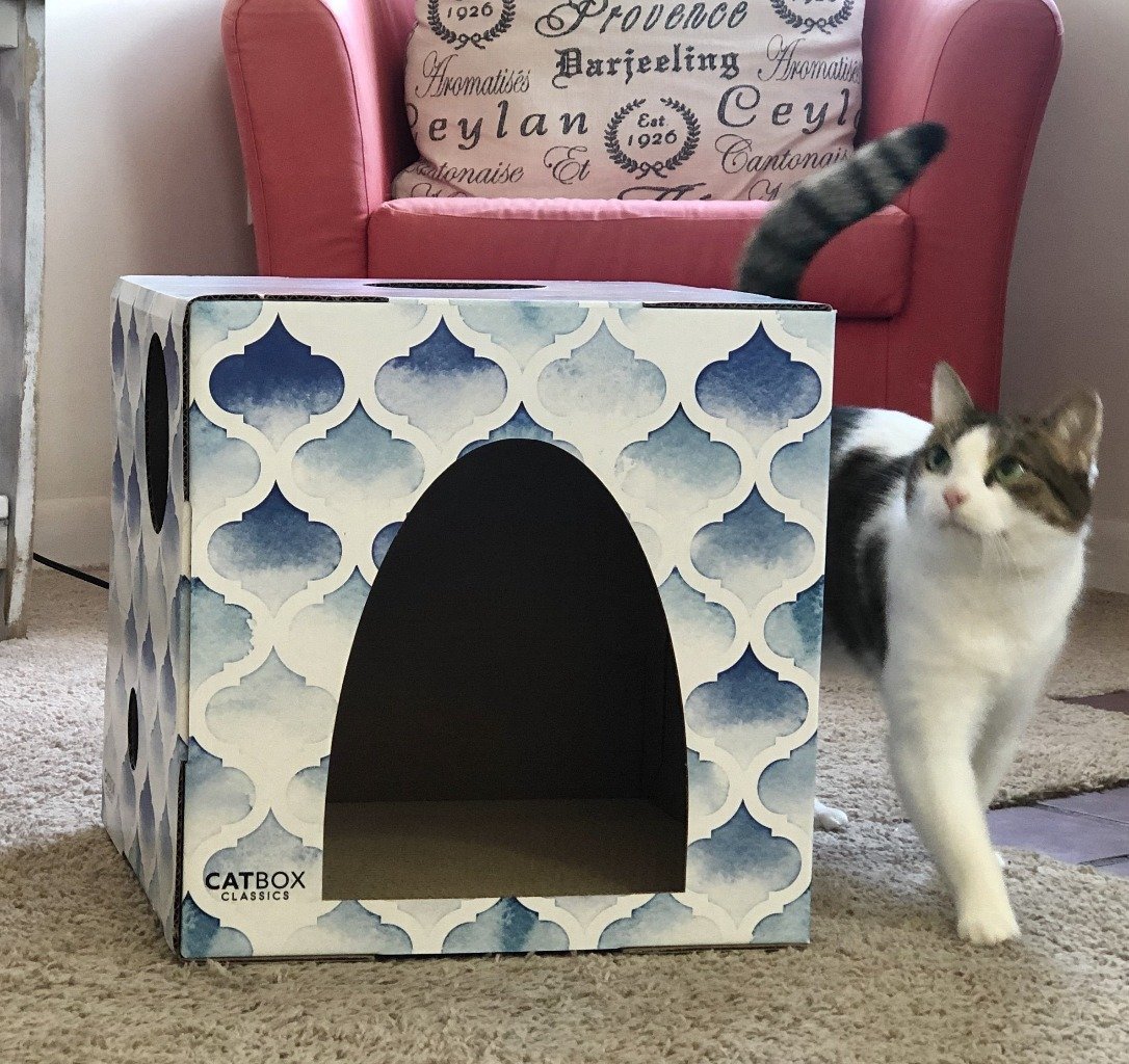 Purrfect Oasis Cat House with Scratcher - Cat Box Classics