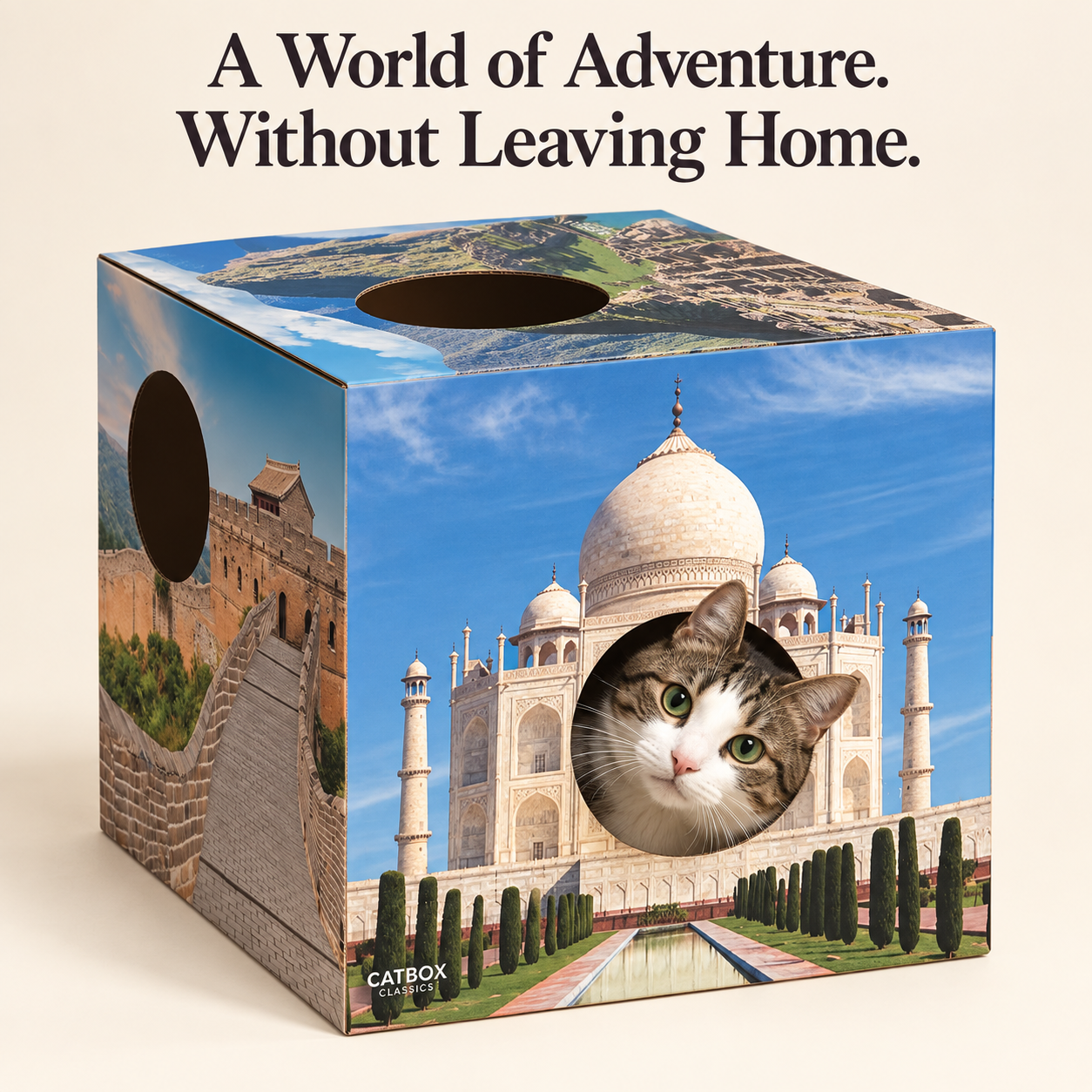 Whiskers of the World Cardboard Cat House with Scratcher