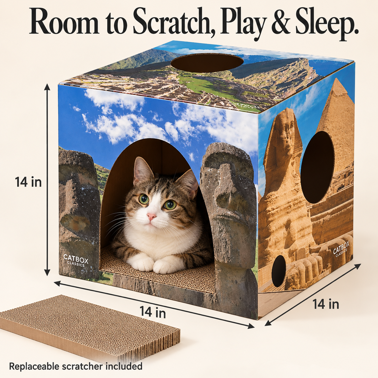 Whiskers of the World Cardboard Cat House with Scratcher