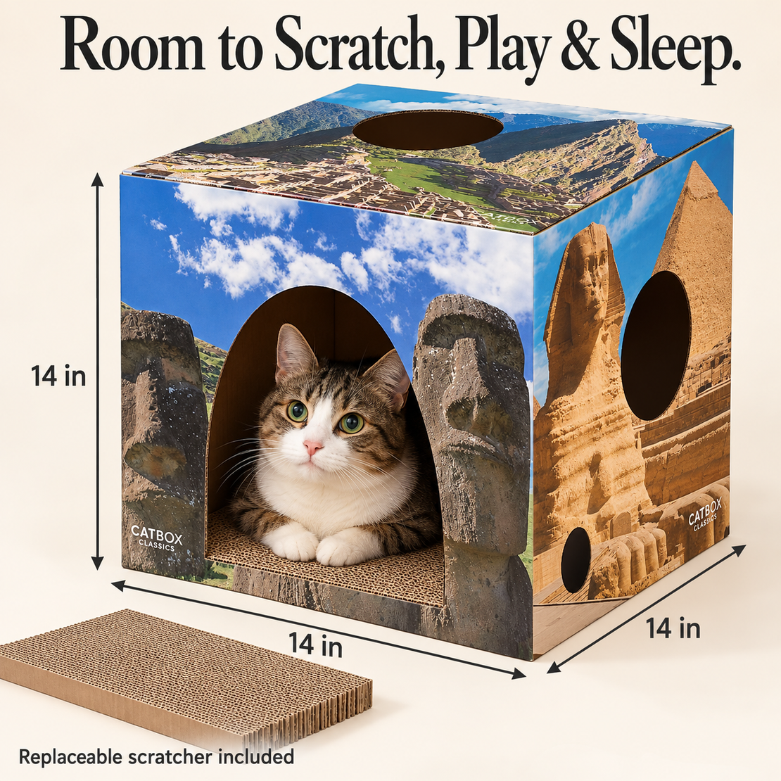 Whiskers of the World Cardboard Cat House with Scratcher