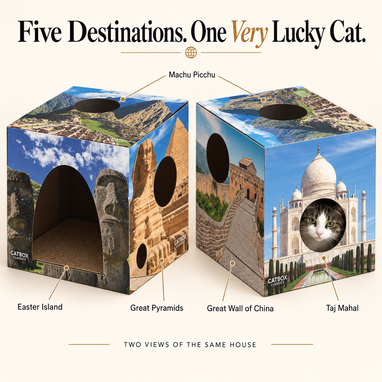 Whiskers of the World Cardboard Cat House with Scratcher