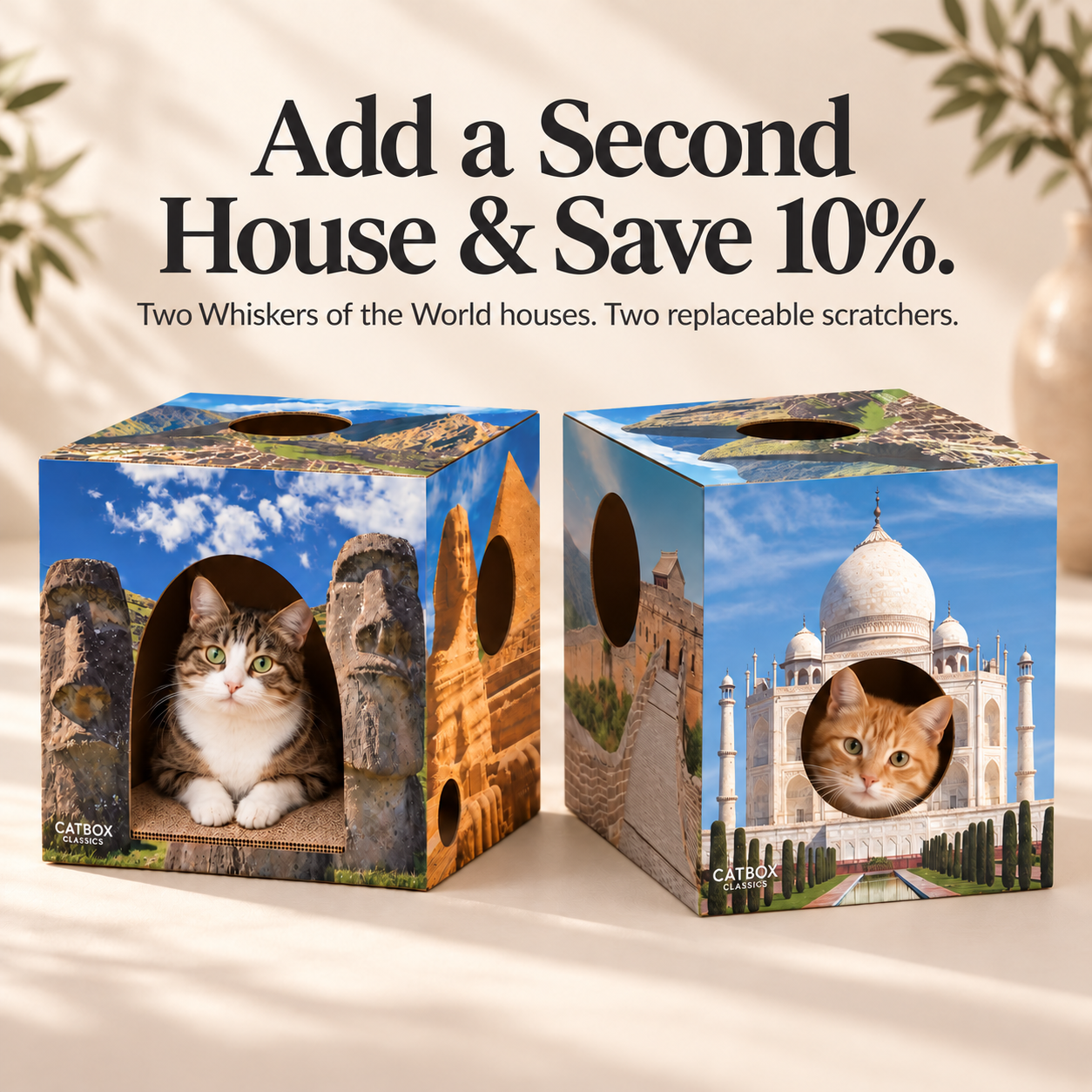 Whiskers of the World Cardboard Cat House with Scratcher