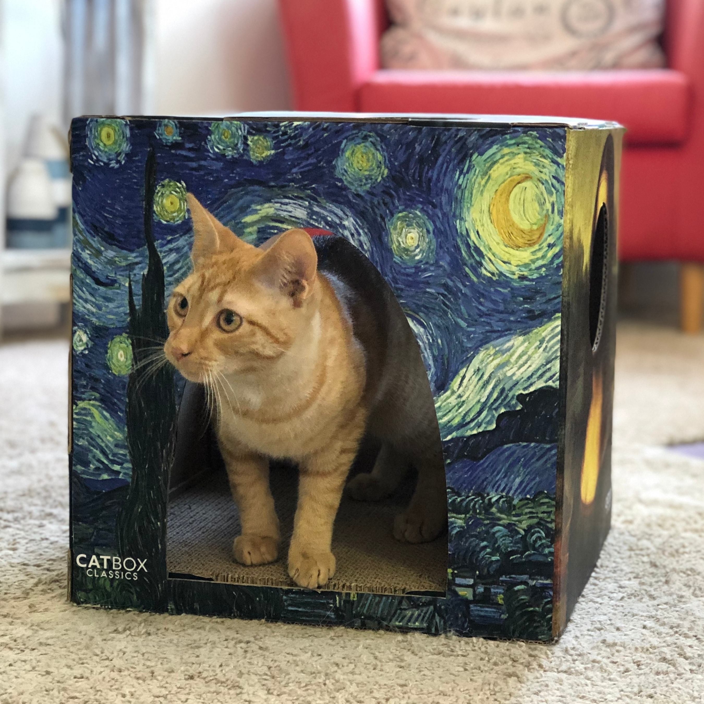 Furry Masterpieces Cardboard Cat House with Scratcher