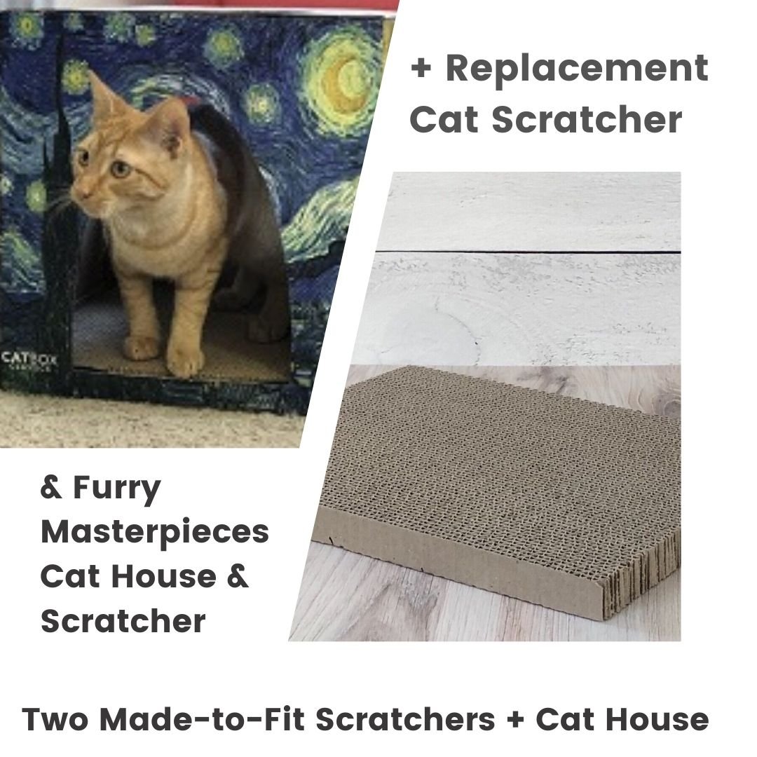 Furry Masterpieces Cat House with Scratcher - Cat Box Classics