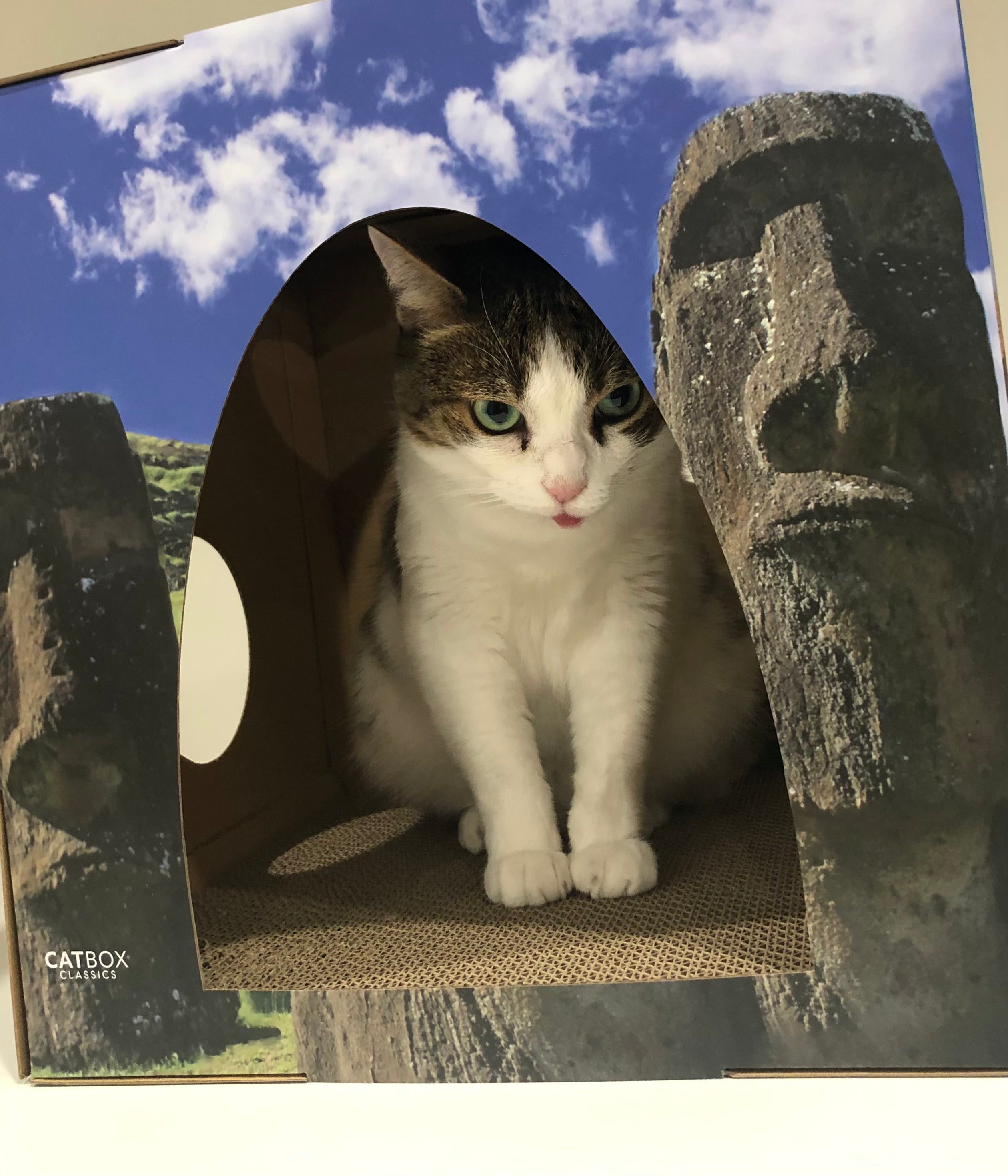 Whiskers of the World Cardboard Cat House with Scratcher