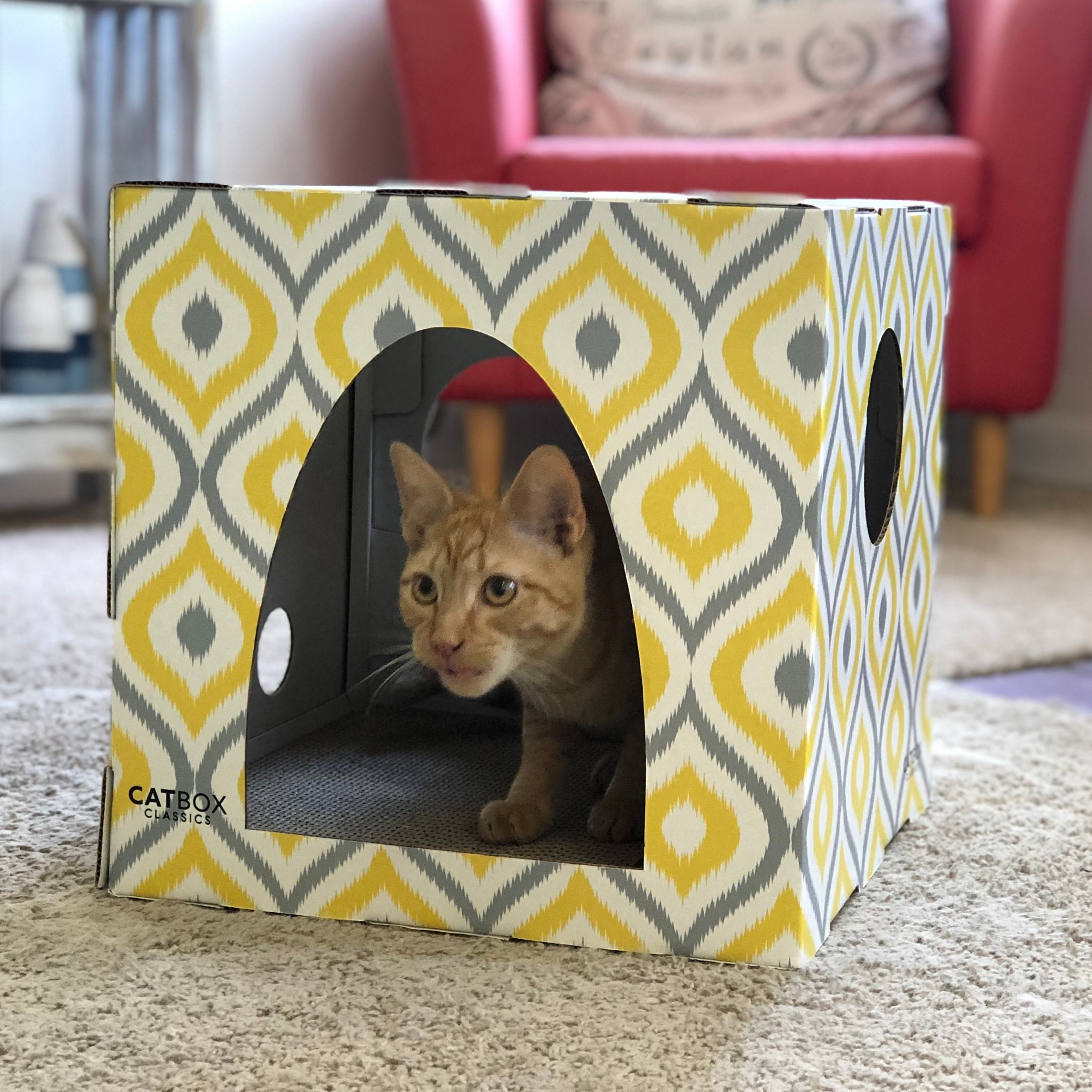 Meow Yellow Cardboard Cat House with Scratcher