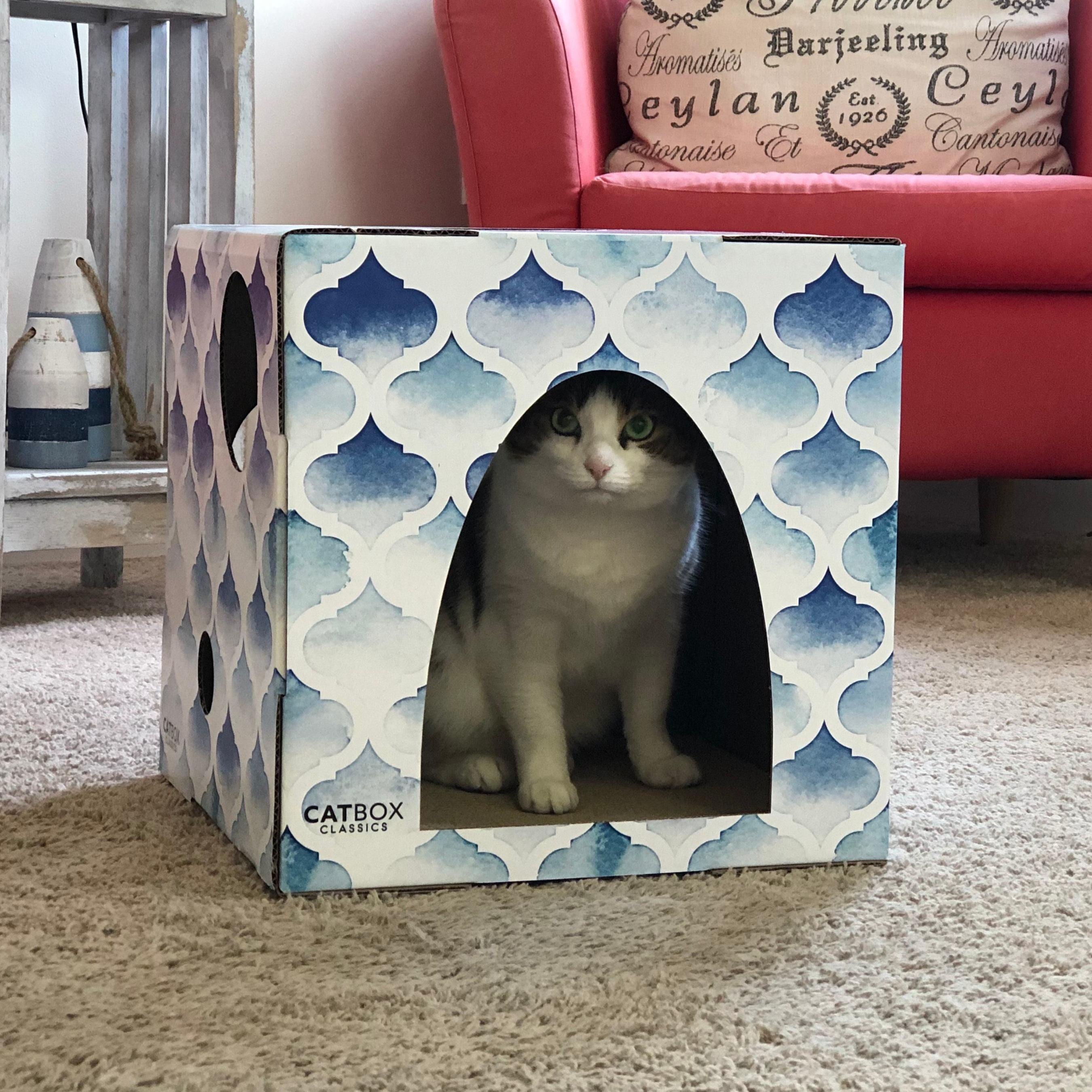 Stylist Cat Box 6-Piece Cat Crinkle Balls Play Pack - Cat Box Classics