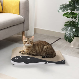 Grey cat on cardboard cat scratcher